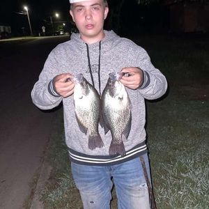 Meet your Posher, Blake